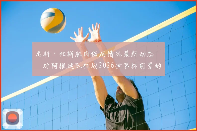 尼科·帕斯肌肉伤病情况最新动态:对阿根廷队征战2026世界杯前景的影响分析
