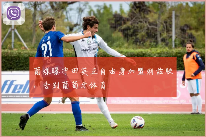 葡媒曝守田英正自由身加盟利兹联,告别葡萄牙体育