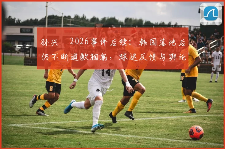 孙兴慜2026事件后续：韩国落地后仍不断道歉鞠躬，球迷反馈与舆论走向深度追踪